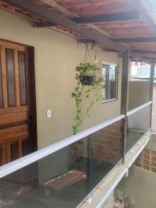 阿布拉奥Casa Pitanga - Abraão - IG的墙上有植物的空阳台