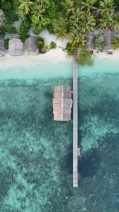 Pulau MansuarTABARI DIVE LODGE的水中棕榈树的岛屿