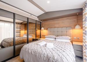 NewcastletonRiverview Holiday Park的一间卧室设有两张床和一张带镜子的大床