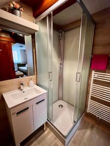 伊泽拉河畔亚布洛内茨泽曼库旅馆的带淋浴和盥洗盆的浴室