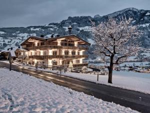 希帕赫Farmhouse in Schwendau with Ski Storage的雪中一座大建筑,有树