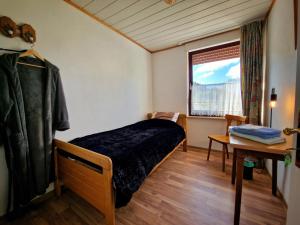 马尔斯贝格Gasthof Zum Burghof的一间卧室配有一张床、一张书桌和一个窗户。
