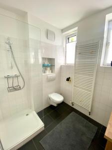 多瑙河畔克雷姆斯Kremslodge的白色的浴室设有卫生间和淋浴。