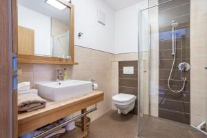 玛丽亚阿尔姆菲瑞恩内斯特莱特纳公寓的浴室配有卫生间、盥洗盆和淋浴。