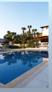 凯麦尔MİNA GRAND HOTEL的一座拥有蓝色海水和棕榈树的游泳池