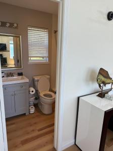 Shelter Cove海滨宾馆的一间带卫生间、水槽和镜子的浴室