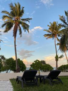BunjuLions Zanzibar SUITE&APARTEMENT with private pool - LUXURY ON THE SEASIDE的棕榈树海滩上的两把椅子和一张桌子
