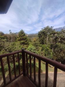 维奥康德马奥Pousada Mirante do Céu的享有森林美景的阳台