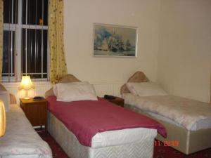 曼彻斯特维多利亚公园酒店的一间卧室设有两张单人床和一个窗户。