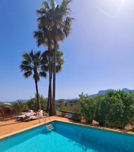 BolullaCasa del Paso的一座棕榈树环绕的游泳池