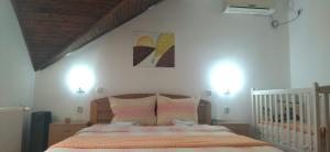 索科矿泉村Vila Lenka Sokobanja的卧室配有一张床,墙上有两盏灯