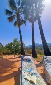 阿利坎特casa India的一张两棵棕榈树床