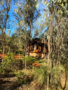 莱瓦镇Suite Cabaña Cantodeagua-Jacuzzi的森林中的房子