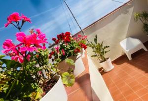 卡塔尼亚Lavica Di Mezzo Apartments的阳台上种有粉红色的花卉和植物