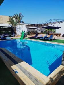 索瓦马Tala DeadSea Villa的度假村内的一个蓝色海水游泳池