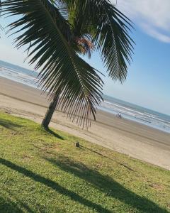 佩鲁伊比Pousada e Espaco AURORA Peruibe的海滩上的棕榈树与大海