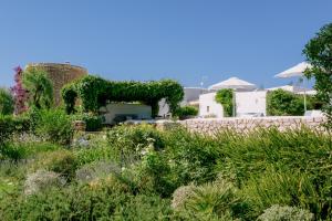 圣洛伦索巴拉菲Can Quince de Balafia - Turismo de Interior的一座常春藤花园,在墙上和建筑中