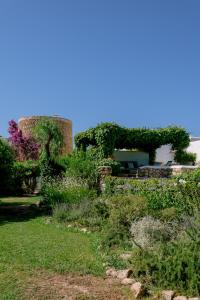 圣洛伦索巴拉菲Can Quince de Balafia - Turismo de Interior的一座常春藤生长在建筑中的花园