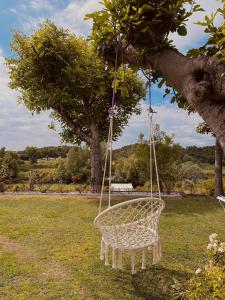 普埃尼亚戈Holiday Home Sovenigo的挂在树上的白色绳索摆动