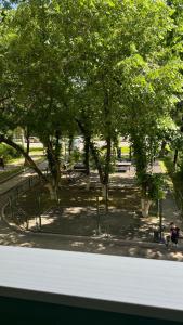 阿拉木图Evergreen Apart的公园里一群树木,有人坐在长凳上