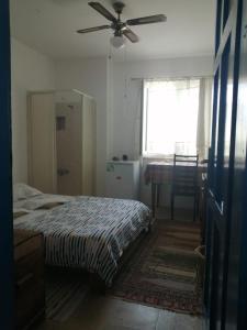 库萨达斯Ecer Pansiyon的一间卧室配有一张床和吊扇