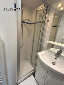 里尔里尔一室公寓 - 安特卫普街 的带淋浴和盥洗盆的浴室