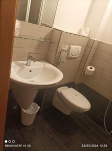 里米尼冲绳酒店的一间带水槽和卫生间的浴室