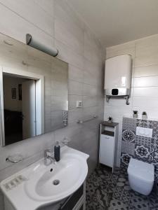 普拉Faveria Apartments Amphitheater with FREE Parking的一间带水槽、卫生间和镜子的浴室