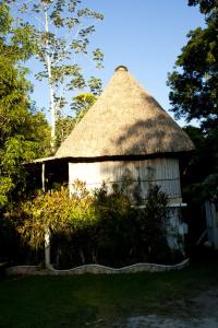 蒂卡尔蒂卡尔捷豹酒店的花园中带茅草屋顶的小屋