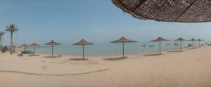 艾因苏赫纳Chalet at Lasirena Mini Egypt Resort Ein Elsokhna Families Only的海滩上的一组遮阳伞