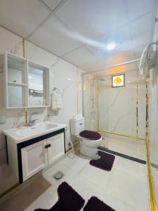 瓦迪拉姆Desert Bedouin adventure的带淋浴、卫生间和盥洗盆的浴室