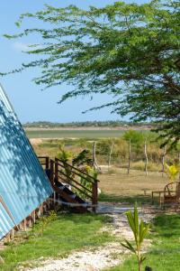 Cashaw Cabin - Private A-frame Treasure Beach外面的花园