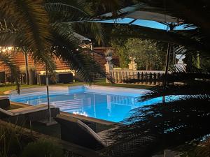 RoussasLe Mas de l'Alliance - 12 p - Air Cond - private Pool - near Grignan的棕榈树庭院中的游泳池