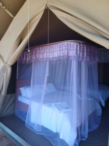 巴纳吉Green Garden Serengeti Luxury Tented Camp的帐篷内的一张床位,配有天篷