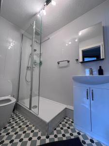 爱丁堡Beach front apartment的带淋浴、盥洗盆和卫生间的浴室
