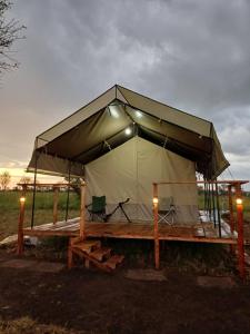 巴纳吉Green Garden Serengeti Luxury Tented Camp的田野上带长椅的帐篷