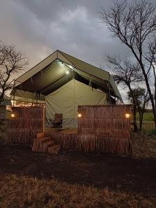 巴纳吉Green Garden Serengeti Luxury Tented Camp的夜晚在田野里带长凳的帐篷