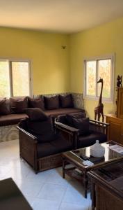 萨利尼亚拉尔CHEZ NOUS的带沙发和长颈鹿雕像的客厅