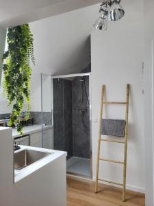 布鲁塞尔Studios idéalement situés - EU的厨房设有水槽和带梯子的淋浴