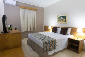 弗朗卡Hotel Dan Inn Franca & Convenções的一间卧室配有一张床和一台平面电视