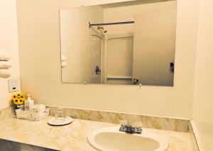 海恩斯章克申Cozy Corner Motel & Restaurant的一间带水槽和镜子的浴室