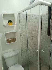 拉热斯Pousada Tertulia Apartamento completo em Lages!的一间带卫生间和玻璃淋浴间的浴室