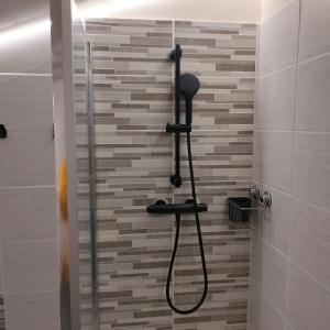 圣瑞尼安安塔迪奥旅馆的浴室内配有淋浴和头顶淋浴