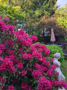 鲁拉里贾纳格斯火斯公寓的一座花园,花园内种有粉红色的鲜花,并拥有雕像和遮阳伞