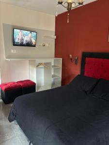 米娜克拉韦罗Apart y Suite Portal del Luz的一间卧室配有一张床和一台平面电视