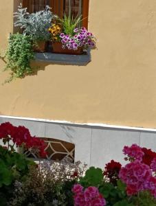 博洛尼亚Appartamenti Borghetto San Donato 105的窗框里两幅鲜花照片