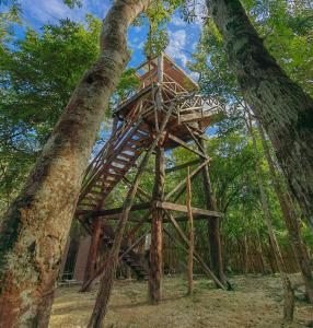 图卢姆Treehouse Tulum H2Ojos的树中间的树屋