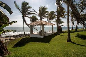 佩达西镇Super Private Beachfront 3BR Villa with Infinity Pool Andromeda Pedasi的棕榈树和大海海滩上的凉亭