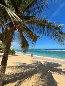 Anse-BertrandLa Maison Créole du Flamboyant - Proche des Plages的棕榈树在海滩上行走的人