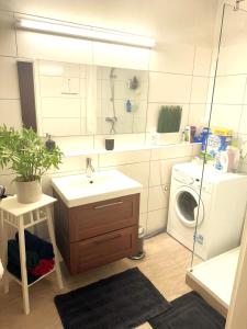 格拉茨University Messe Apartment的一间带水槽和洗衣机的浴室